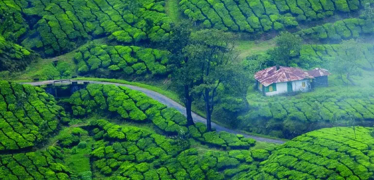 kerala
